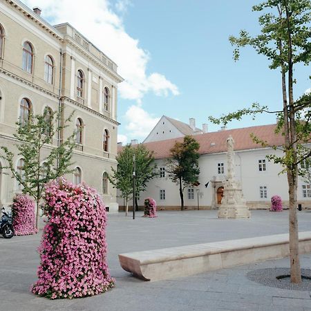 Bethlen Central Studio Cluj-Napoca Eksteriør bilde