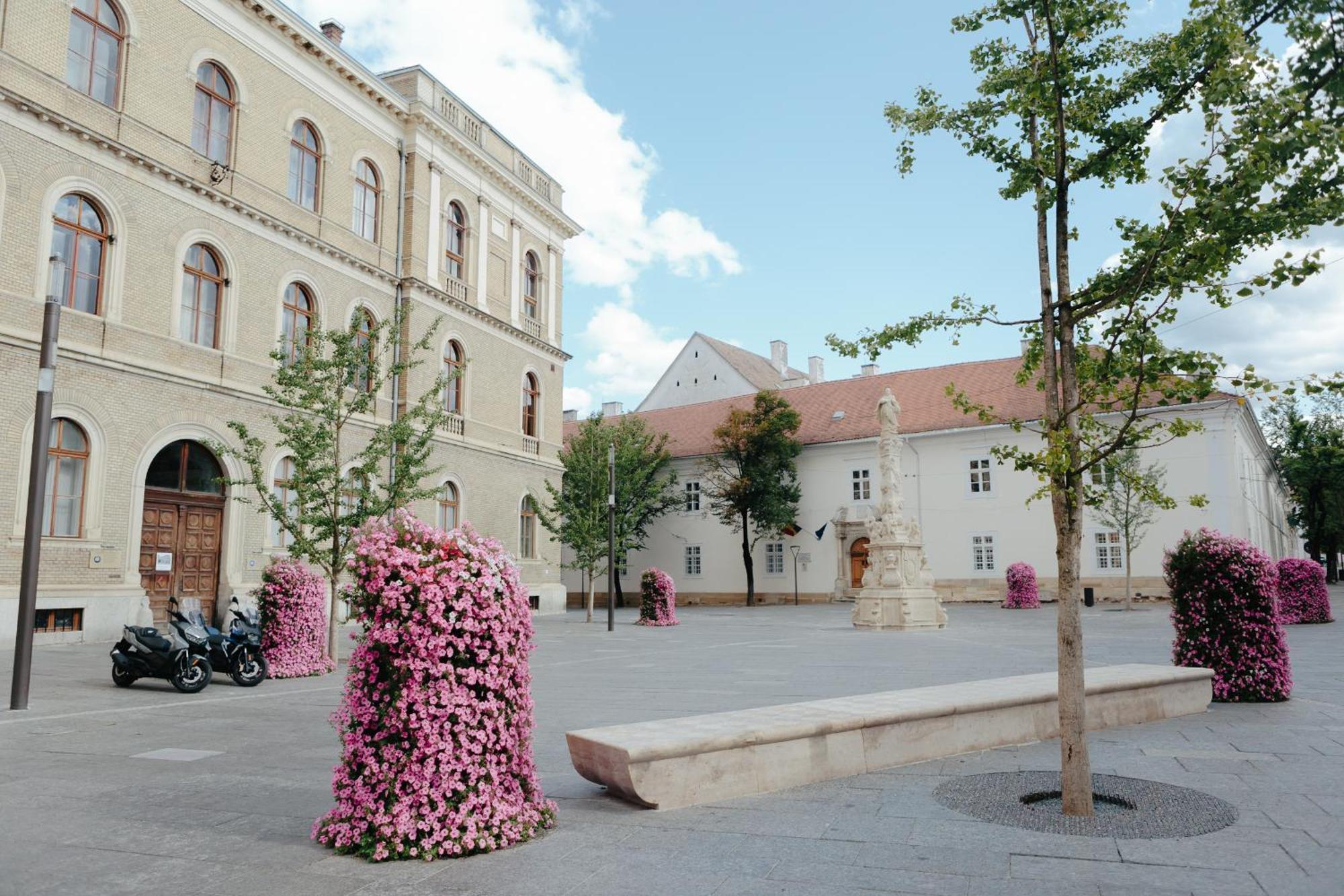 Bethlen Central Studio Cluj-Napoca Eksteriør bilde