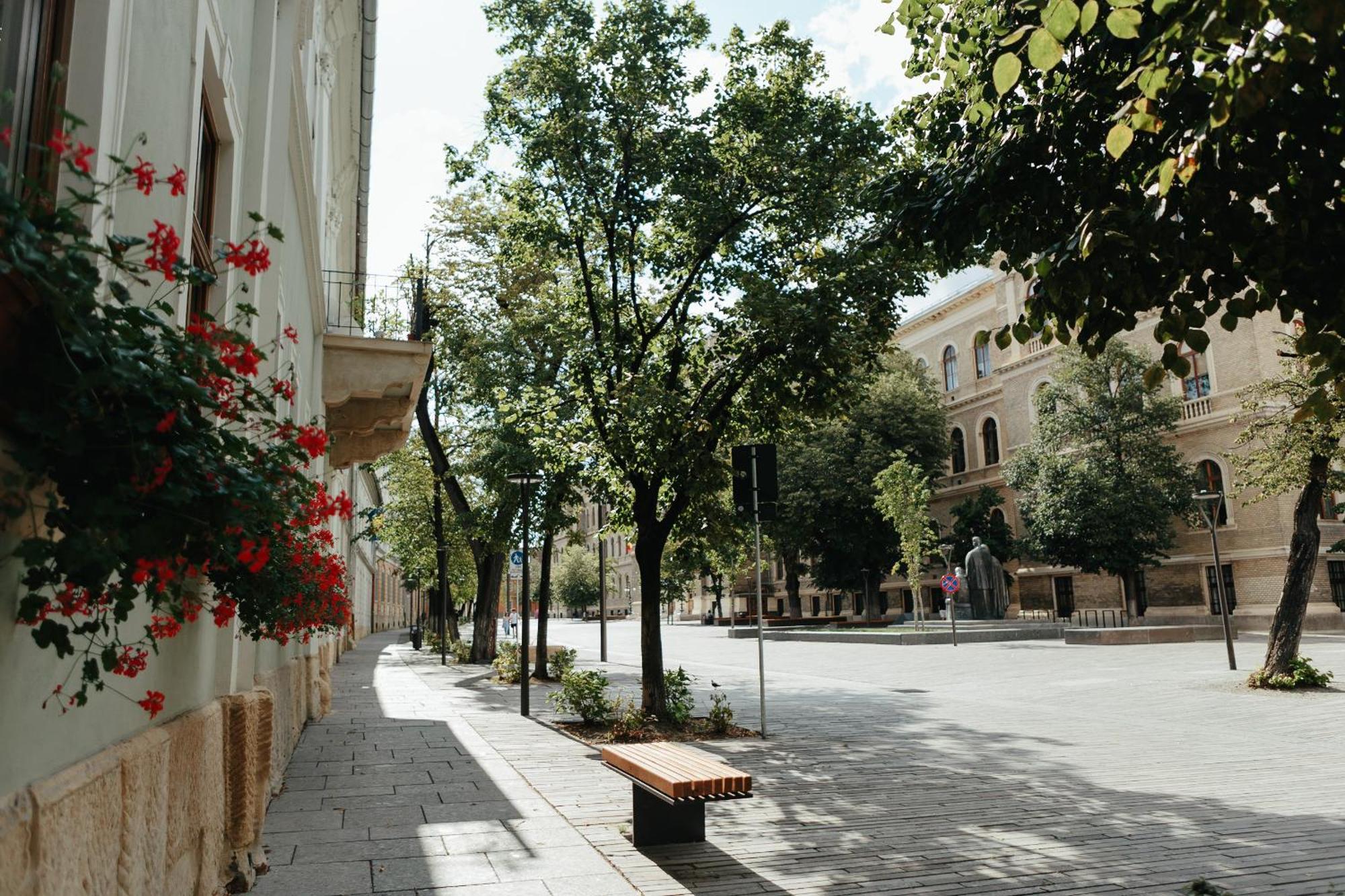 Bethlen Central Studio Cluj-Napoca Eksteriør bilde
